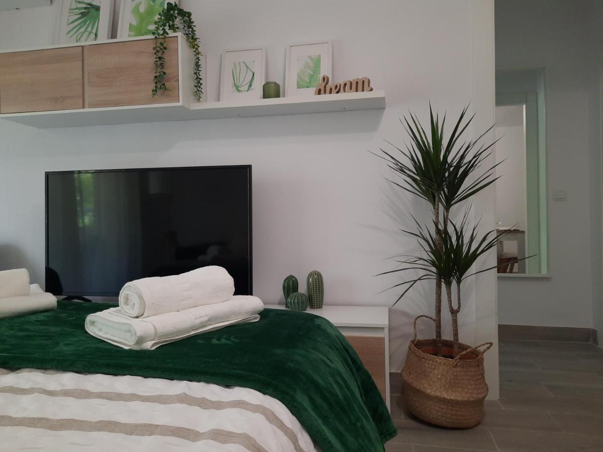 Bsb - Dream Holidays Apartment サロウ エクステリア 写真
