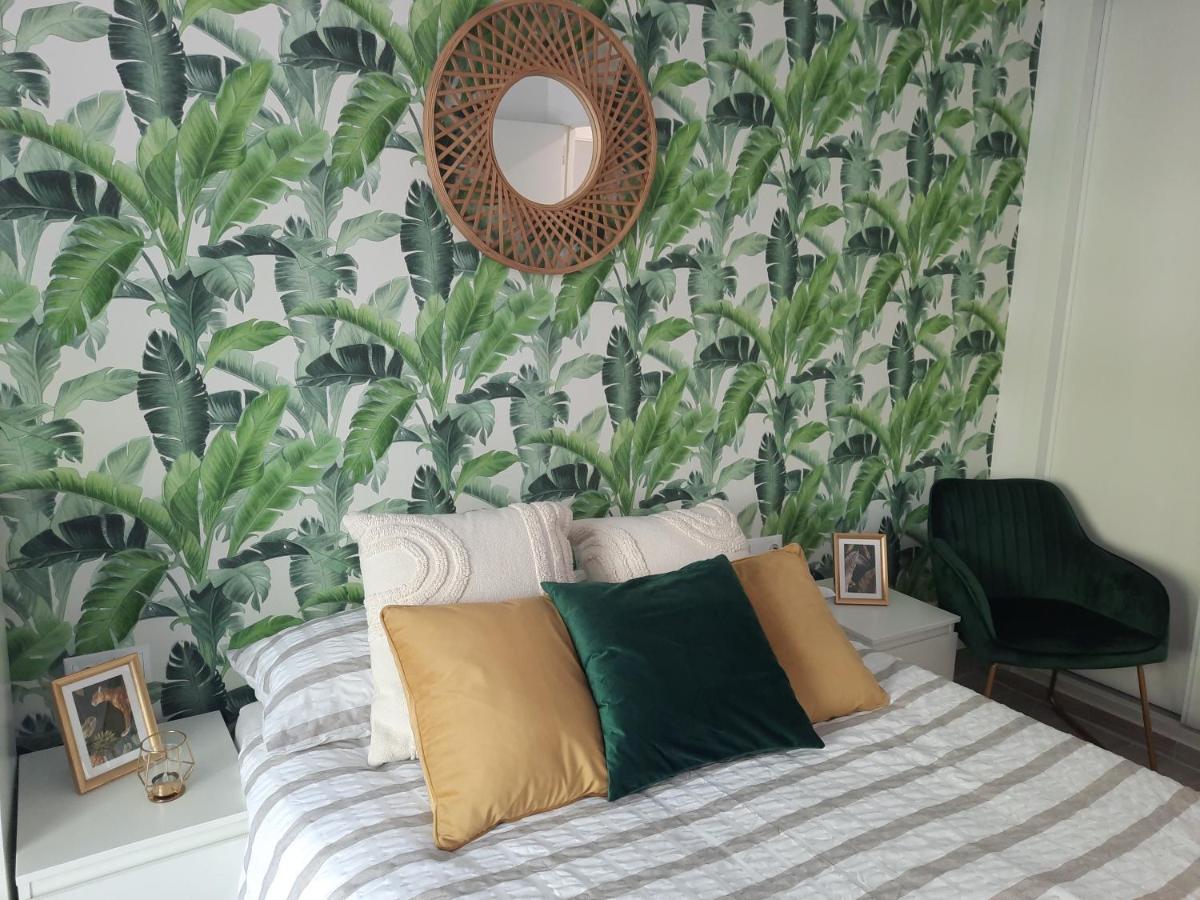 Bsb - Dream Holidays Apartment サロウ エクステリア 写真